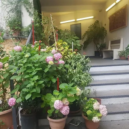 Appartement Pazari_ri_studio Tirana